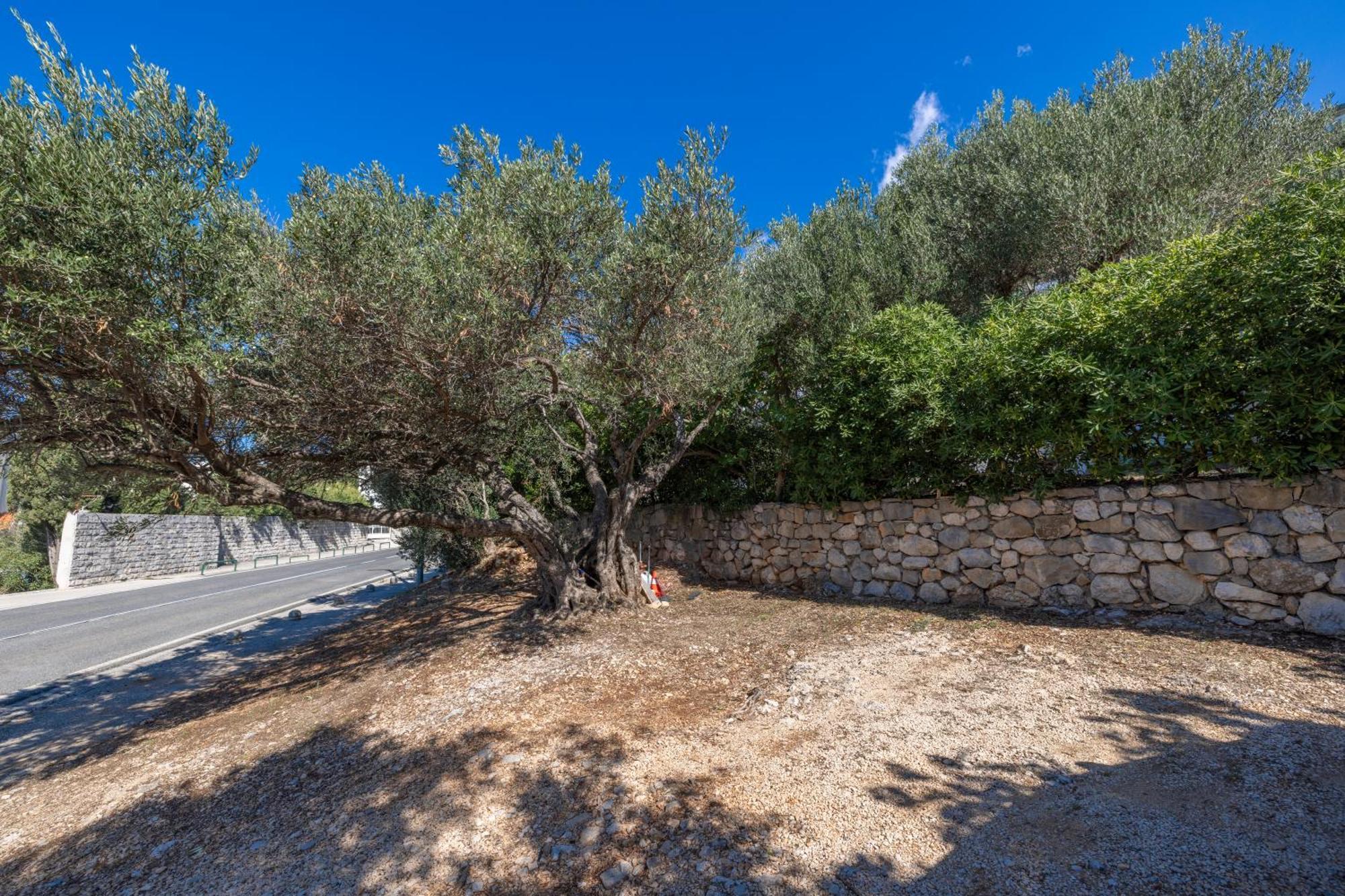 Apartmani Marta Tucepi Luaran gambar